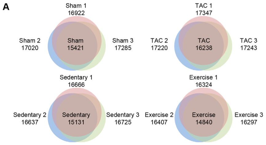 Fig 1A