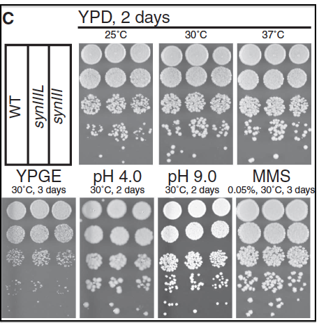 Fig3C