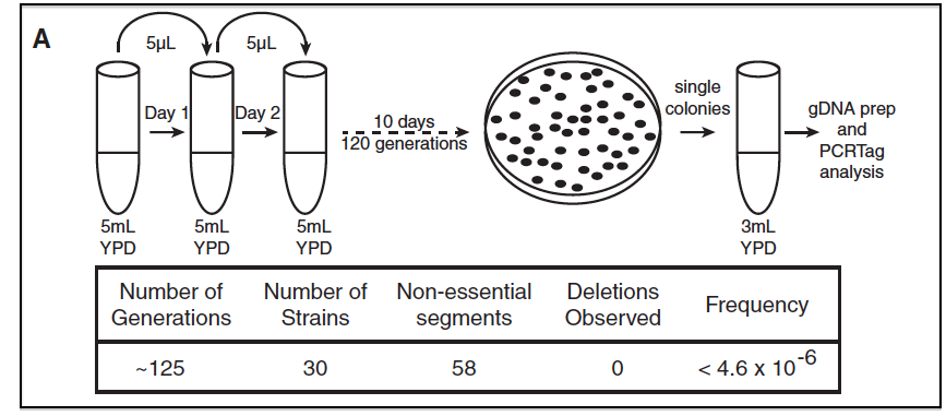 Fig4A