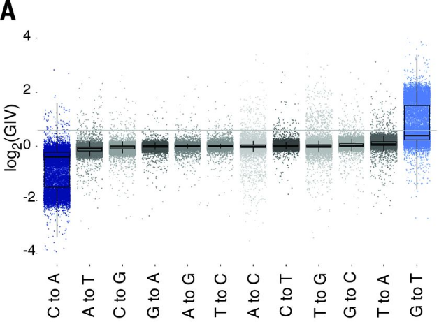 Fig2A